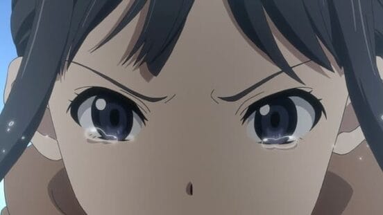 Determination and Resolution